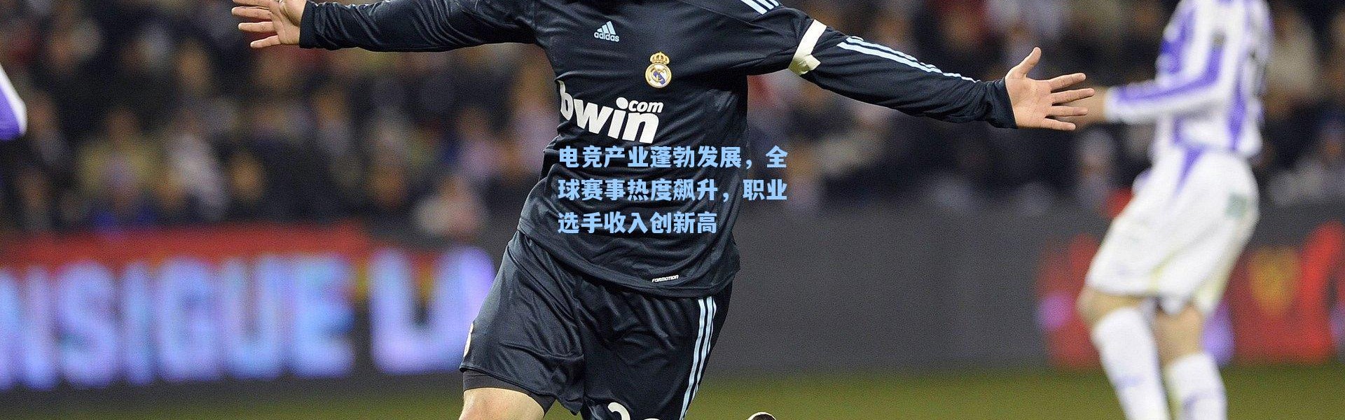电竞产业蓬勃发展，全球赛事热度飙升，职业选手收入创新高
