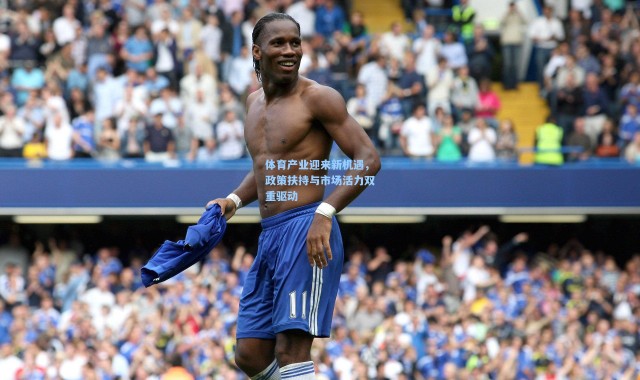 体育产业迎来新机遇，政策扶持与市场活力双重驱动