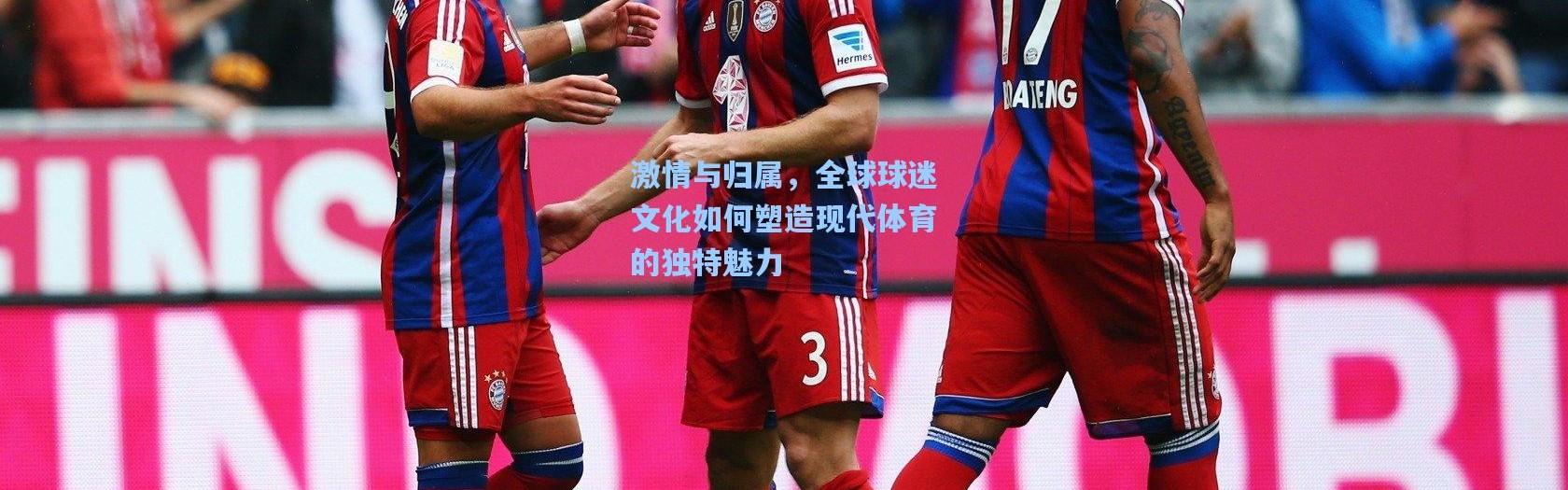 激情与归属，全球球迷文化如何塑造现代体育的独特魅力